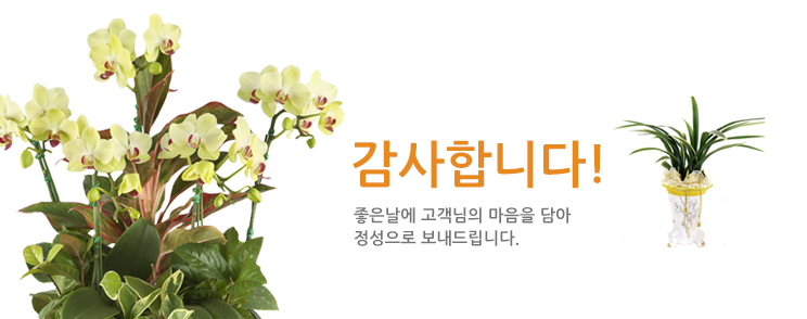 승진/취임